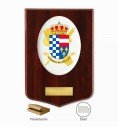 Metopa del Centro de El Escorial de la Academia de Oficiales con placa y estuche.